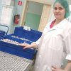 Студенты - биотехнологи ЧГСХА прошли стажировку на базе Щелковского биокомбината Студенты - биотехнологи ЧГСХА прошли стажировку на базе Щелковского биокомбината