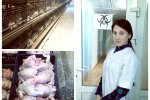 Будущие зооинженеры и ветеринарные врачи на учебной практике на птицефабрике «Чувашский бройлер» Будущие зооинженеры и ветеринарные врачи на учебной практике на птицефабрике «Чувашский бройлер»