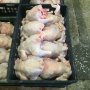 Будущие зооинженеры и ветеринарные врачи на учебной практике на птицефабрике «Чувашский бройлер» Будущие зооинженеры и ветеринарные врачи на учебной практике на птицефабрике «Чувашский бройлер»