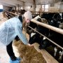 Студенты Чувашской ГСХА побывали на сельхозпредприятиях Красноармейского района Студенты Чувашской ГСХА побывали на сельхозпредприятиях Красноармейского района