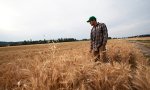 Приглашаем на курсы для начинающих фермеров Приглашаем на курсы для начинающих фермеров