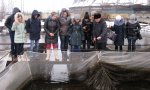 Побывали на экскурсии в современном рыбоводном хозяйстве Побывали на экскурсии в современном рыбоводном хозяйстве