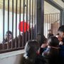 Будущие технологи посетили ООО «Международный конно-спортивный комплекс «Казанский ипподром» Будущие технологи посетили ООО «Международный конно-спортивный комплекс «Казанский ипподром»