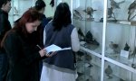 На факультете биотехнологий и агрономии занятия по зоологии посвятили Международному дню сохранения биологического разнообразия На факультете биотехнологий и агрономии занятия по зоологии посвятили Международному дню сохранения биологического разнообразия