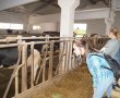      ""  " ""