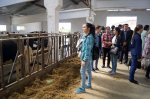 Студенты Чувашской ГСХА посетили отделение "Герой" ЗАО "Агрофирма «Ольдеевская" Студенты Чувашской ГСХА посетили отделение "Герой" ЗАО "Агрофирма «Ольдеевская"