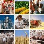 18 ноября - День открытых дверей факультета ветеринарной медицины и зоотехнии 18 ноября - День открытых дверей факультета ветеринарной медицины и зоотехнии