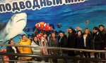 Первокурсники факультета биотехнологий и агрономии побывали на экскурсии «Подводный мир» Первокурсники факультета биотехнологий и агрономии побывали на экскурсии «Подводный мир»