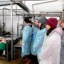 Учащиеся агрокласса Хормалинской СОШ Ибресинского района побывали на ООО «Вурнары Завод СОМ» Учащиеся агрокласса Хормалинской СОШ Ибресинского района побывали на ООО «Вурнары Завод СОМ»