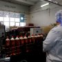 Учащиеся агрокласса Комсомольского районапобывали на предприятии Чувашпотребсоюза «Кооператор» Учащиеся агрокласса Комсомольского районапобывали на предприятии Чувашпотребсоюза «Кооператор»