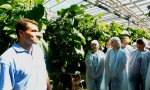 Студенты выпускных курсов факультета биотехнологий и агрономии знакомятся с базами стажировок Студенты выпускных курсов факультета биотехнологий и агрономии знакомятся с базами стажировок