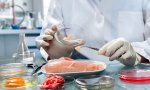 Подведены итоги республиканского конкурса работ по теме «Экспертиза продуктов питания» Подведены итоги республиканского конкурса работ по теме «Экспертиза продуктов питания»