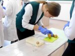 В Чебоксарах и Новочебоксарске проходит III региональный чемпионат ЮниорПрофи (JuniorSkills) В Чебоксарах и Новочебоксарске проходит III региональный чемпионат ЮниорПрофи (JuniorSkills)