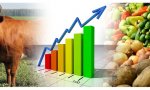Итоги развития АПК республики за 2018 год Итоги развития АПК республики за 2018 год