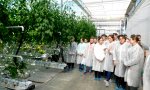 Агроклассники Моргаушской СОШ побывали в Агрофирме «Ольдеевская» Агроклассники Моргаушской СОШ побывали в Агрофирме «Ольдеевская»