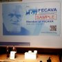      V    FECAVA