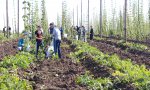 В УНПЦ «Студенческий» Чувашской ГСХА завершается уборка «зеленого золота» В УНПЦ «Студенческий» Чувашской ГСХА завершается уборка «зеленого золота»