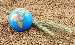 Агроэкспорт Чувашии за 2019 год вырос на 12,2% Агроэкспорт Чувашии за 2019 год вырос на 12,2%