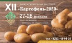 27-28     XII      2020