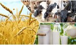 Минсельхоз Чувашии приступил к выплате субсидий аграриям Минсельхоз Чувашии приступил к выплате субсидий аграриям