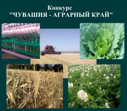 «Чувашия – аграрный край»: стартует конкурс творческих работ для школьников, студентов, трудящейся молодежи и профессиональных журналистов «Чувашия – аграрный край»: стартует конкурс творческих работ для школьников, студентов, трудящейся молодежи и профессиональных журналистов