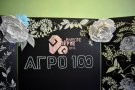 -100:        2019 