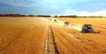 В День сельхозработника Россельхозбанк назвал самые востребованные профессии в АПК В День сельхозработника Россельхозбанк назвал самые востребованные профессии в АПК