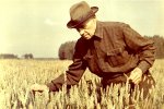 «Пшеничный аристократ»: 125 лет со дня рождения Терентия Семеновича Мальцева «Пшеничный аристократ»: 125 лет со дня рождения Терентия Семеновича Мальцева