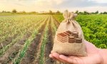 Зарплата в сельском хозяйстве Чувашской Республики выросла на 16,8% Зарплата в сельском хозяйстве Чувашской Республики выросла на 16,8%