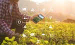 Информсистема цифровых сервисов в АПК начнет работу с 2022 года Информсистема цифровых сервисов в АПК начнет работу с 2022 года