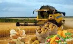 Cельхозтоваропроизводителям Чувашии перечислено 1 806 млн. рублей средств господдержки Cельхозтоваропроизводителям Чувашии перечислено 1 806 млн. рублей средств господдержки