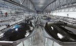 В 2021 году производство аквакульуры в России может вырасти на 15% В 2021 году производство аквакульуры в России может вырасти на 15%
