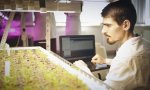 Аграрные вузы прошли первый этап защиты программ развития в рамках проекта «Приоритет 2030» Аграрные вузы прошли первый этап защиты программ развития в рамках проекта «Приоритет 2030»