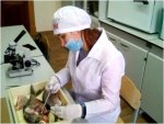 Пять исследовательских работ студентов агровузов ПФО будут представлены на заключительном этапе конкурса среди студентов, аспирантов и молодых ученых Пять исследовательских работ студентов агровузов ПФО будут представлены на заключительном этапе конкурса среди студентов, аспирантов и молодых ученых