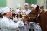 Минсельхоз РФ: ветеринарное образование должно ориентироваться на продуктивное животноводство Минсельхоз РФ: ветеринарное образование должно ориентироваться на продуктивное животноводство