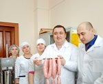 Проектную деятельность аграрных вузов скорректируют под задачи импортозамещения Проектную деятельность аграрных вузов скорректируют под задачи импортозамещения