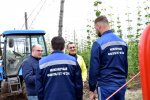 Второе рождение чувашского хмеля Второе рождение чувашского хмеля