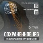     -     on-line .jpg!