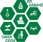 #ВЧувашииЖить - на презентацию проекта "Сила села" 25 октября сходить #ВЧувашииЖить - на презентацию проекта "Сила села" 25 октября сходить