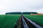 Минсельхоз России начнёт принимать заявки на грант «Агротуризм» 15 мая Минсельхоз России начнёт принимать заявки на грант «Агротуризм» 15 мая