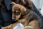 «Добрый вычет»: волонтеры проекта рассказали жителям Чувашии как получить налоговый вычет «Добрый вычет»: волонтеры проекта рассказали жителям Чувашии как получить налоговый вычет