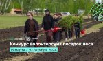 Волонтеры и экологисты Чувашии могут получить премию за помощь в восстановлении лесов Волонтеры и экологисты Чувашии могут получить премию за помощь в восстановлении лесов