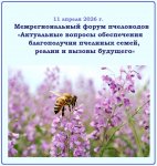 11 ������ � ��������������� ����� ���������� ����������� ������� ����������� ������������ �������� �����, ������ � ������ ��������